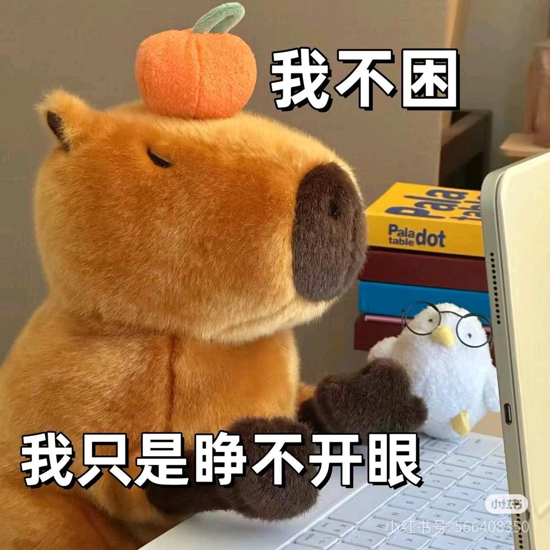 睡不醒的鱼香肉丝