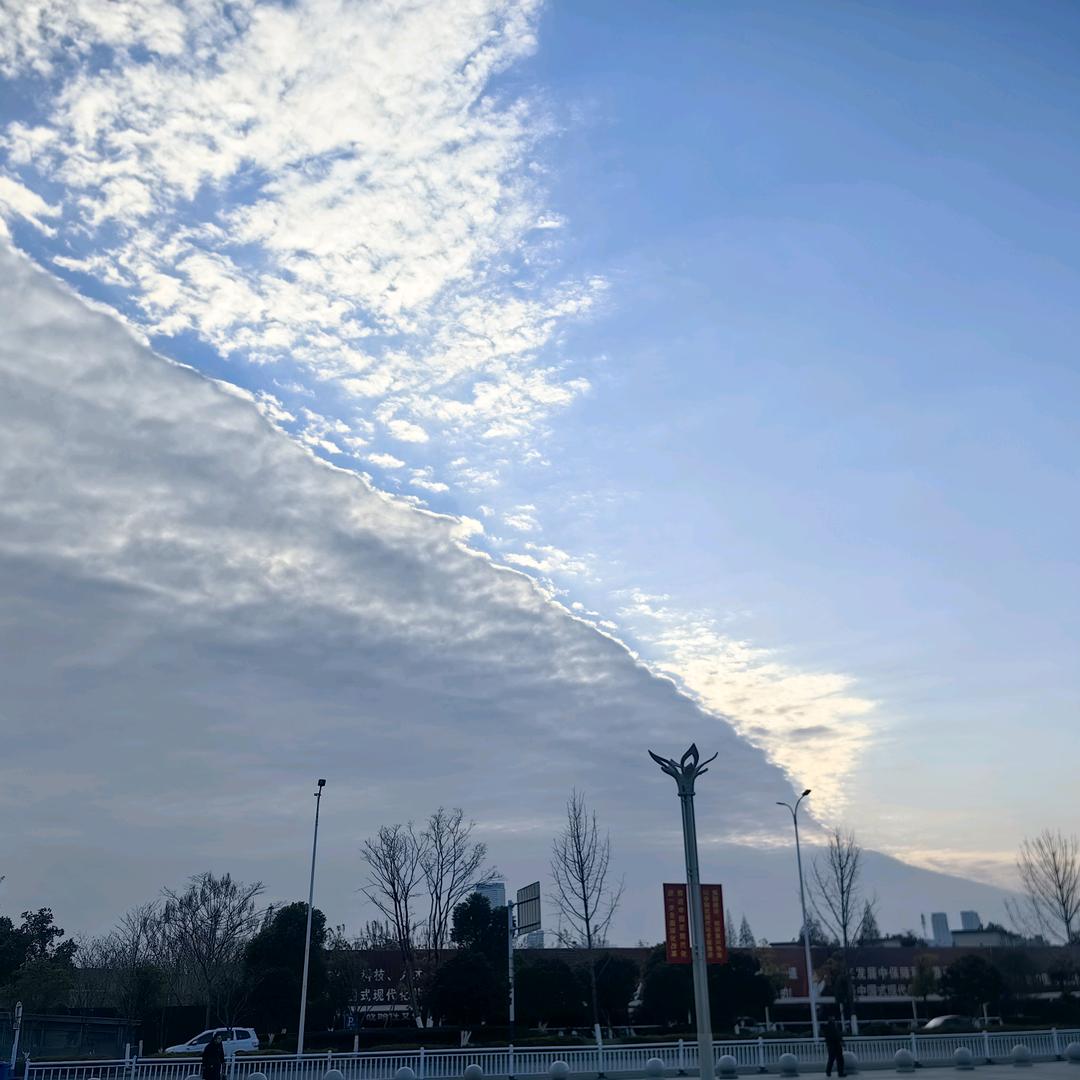 和平精英-青椒我龙歌