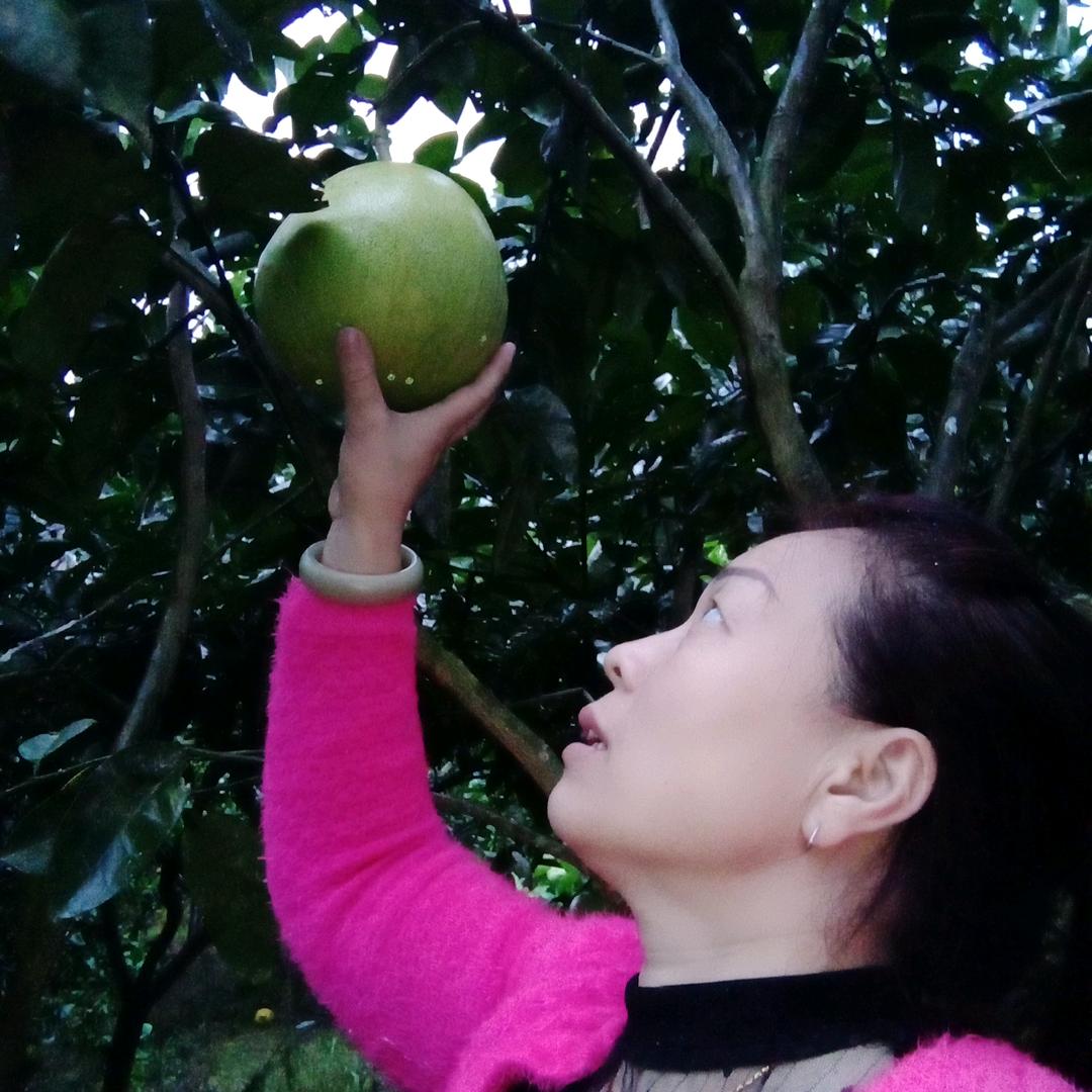 龙幺妹手工棉被