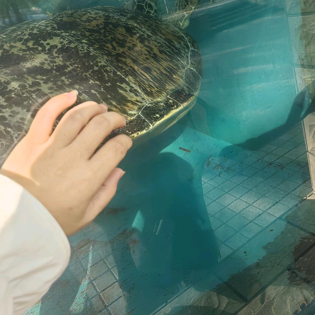 水泥封心