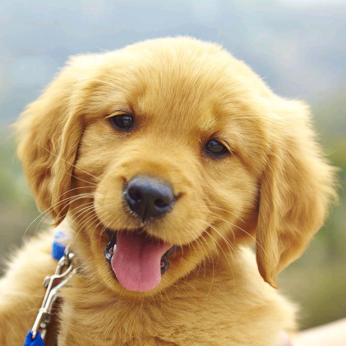 买了一堆便宜货