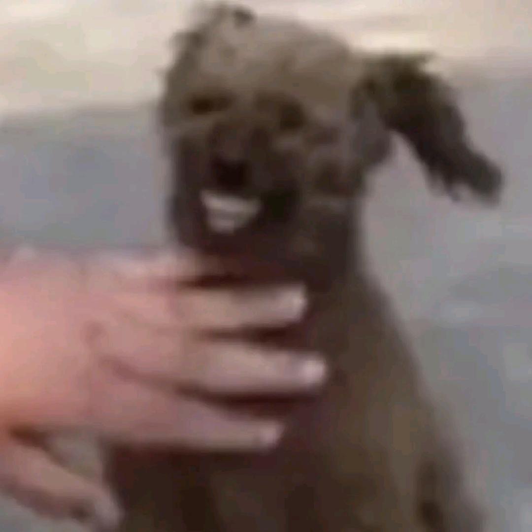 玄德