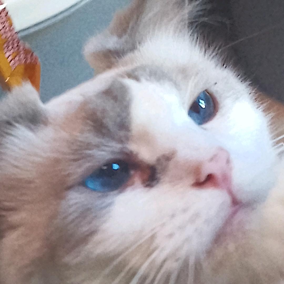 豆丁开心每一天