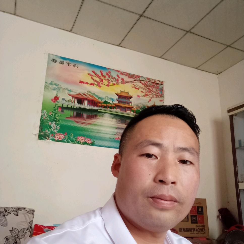 爱再也伤不起了