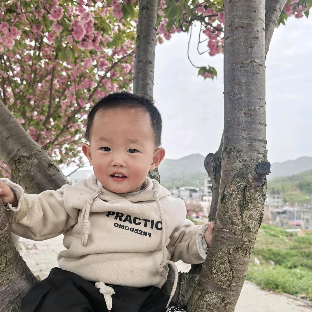 杨三妹