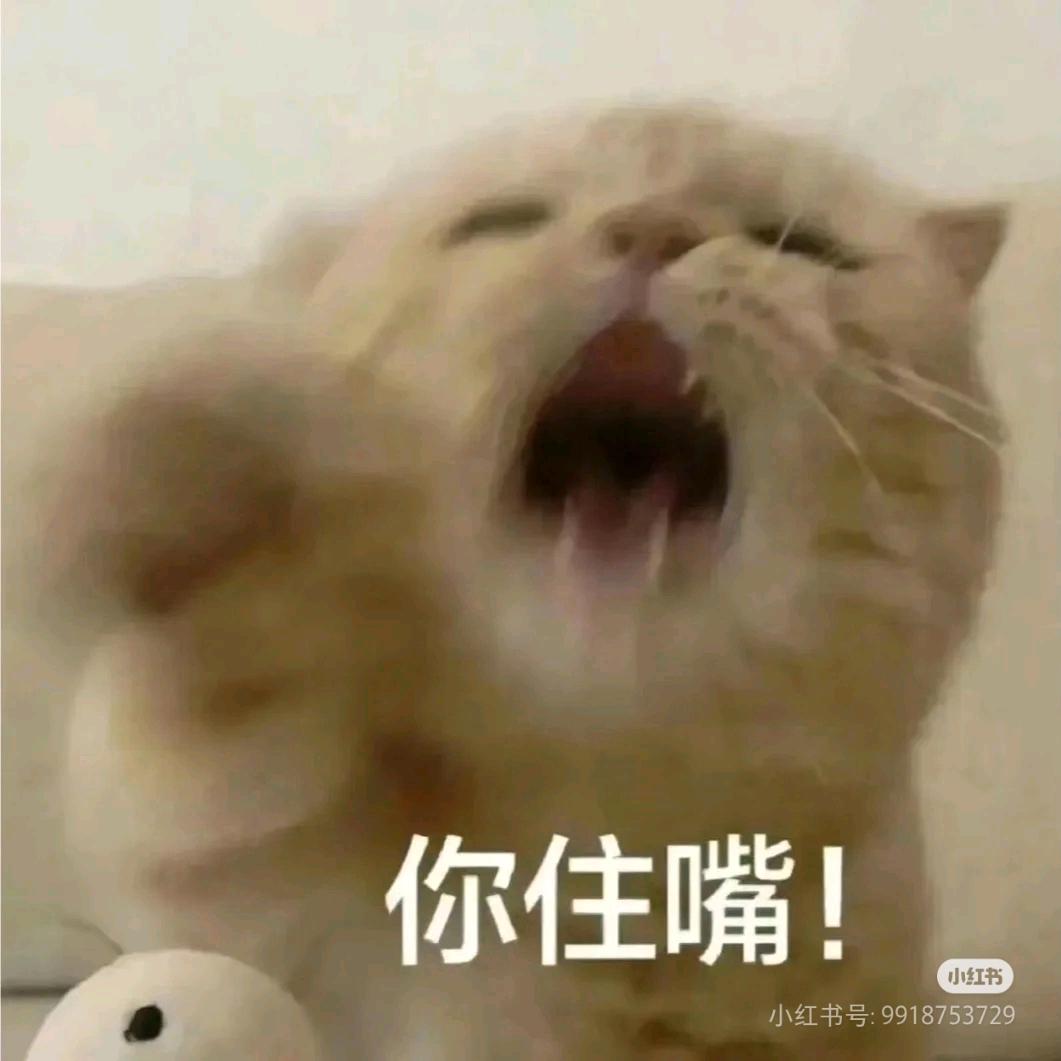 宅梦国乙only