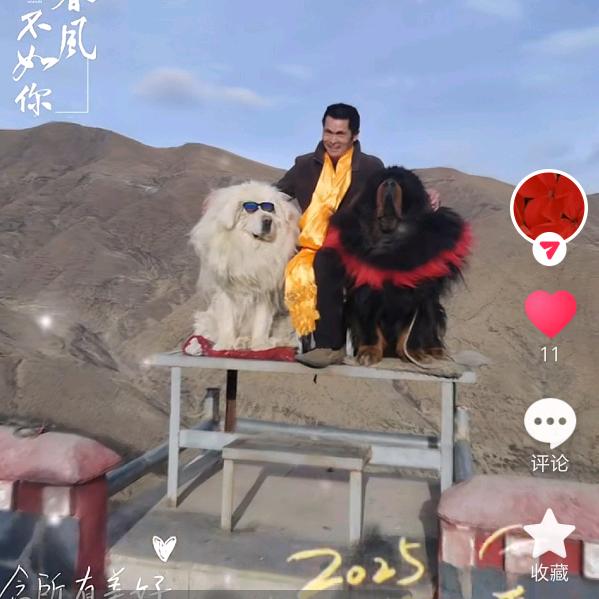幼儿园的扛把子