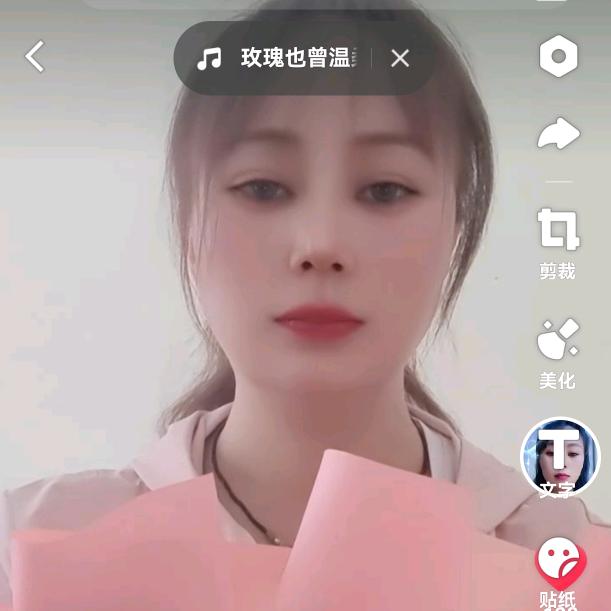 柏采