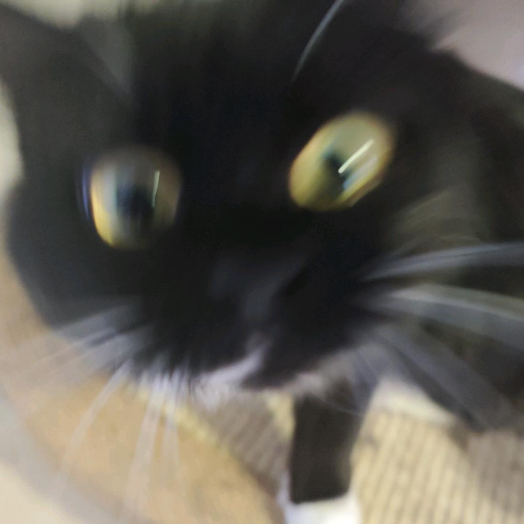 xwwhy