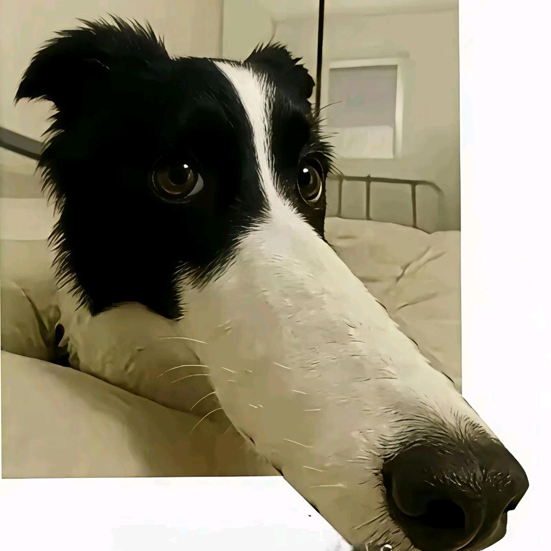 握草.