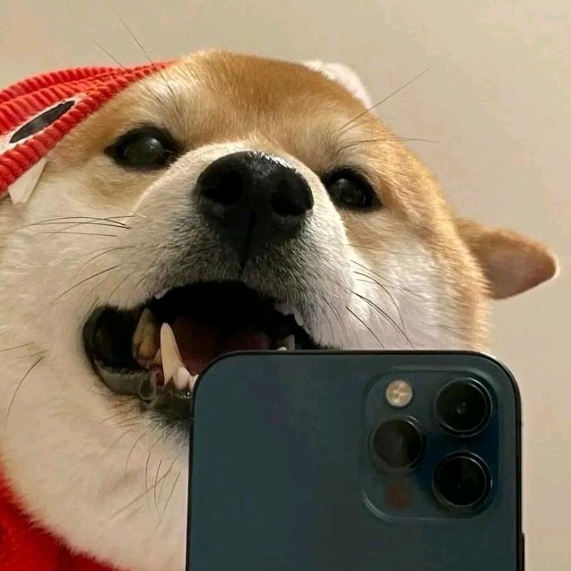 画画的