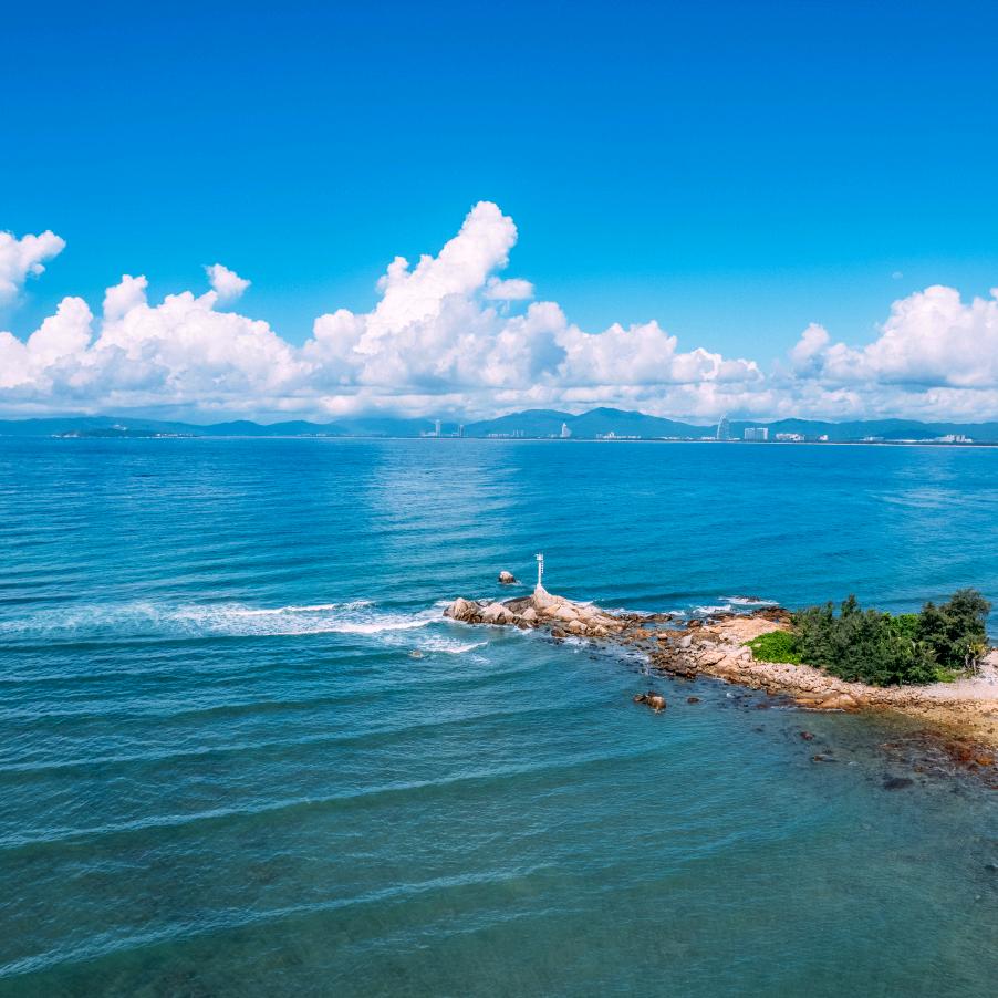 海南旅文（野生菌）