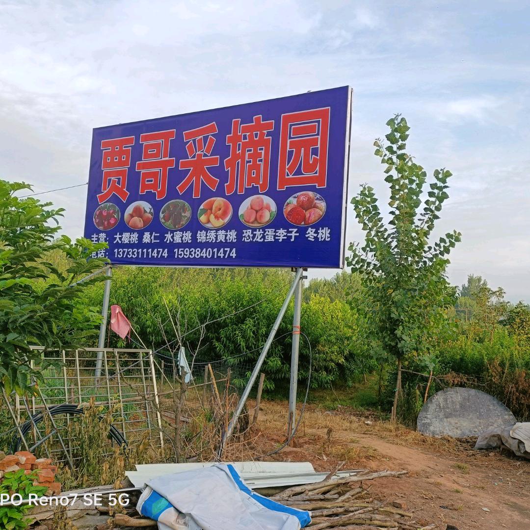 贾哥采摘园，橱窗里面有好东西