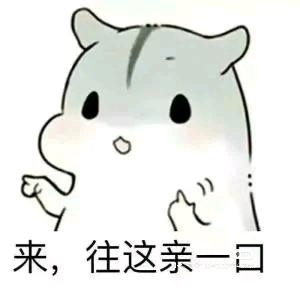 祺