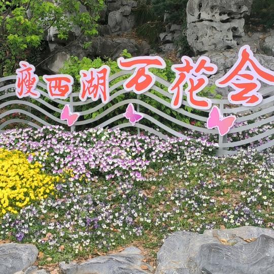 斐斐妈