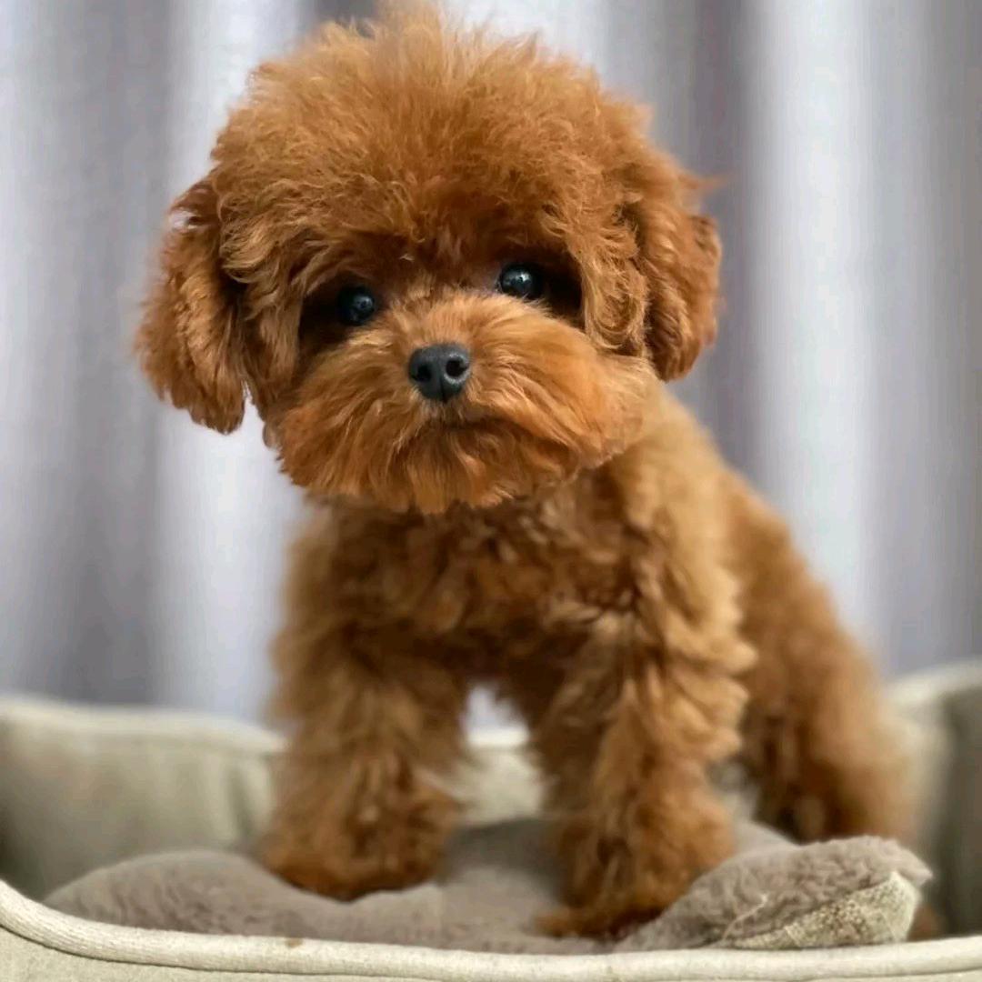 我们的承诺。。。