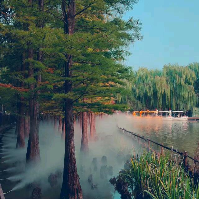 马华