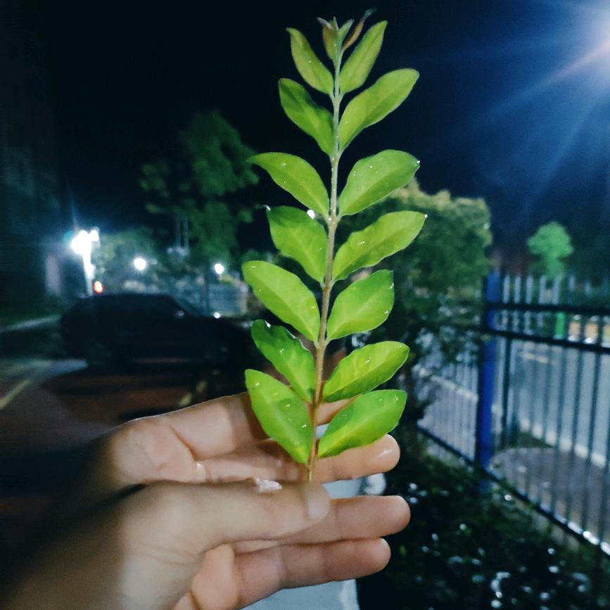 简