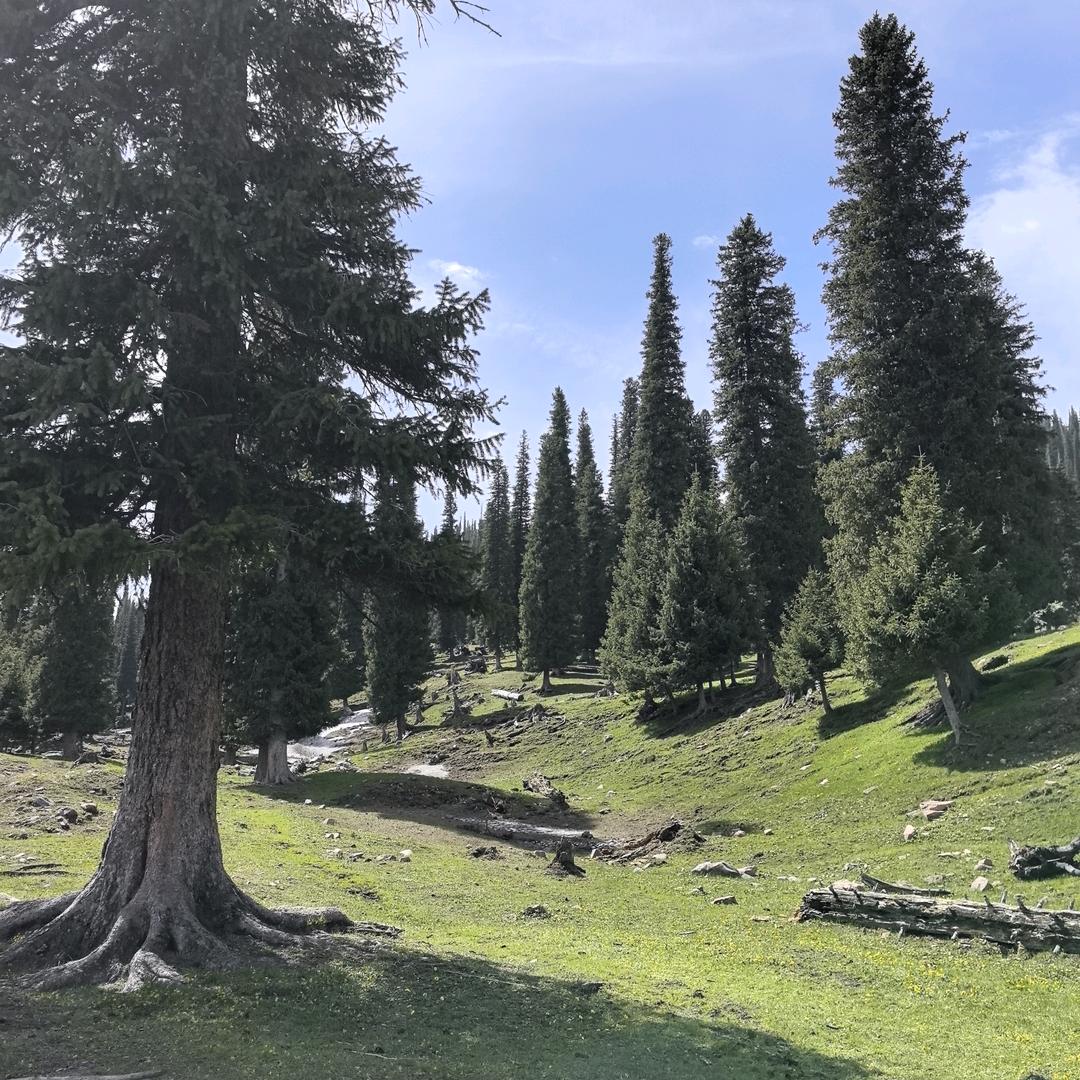 爆炸盐超强去污爆款前十名