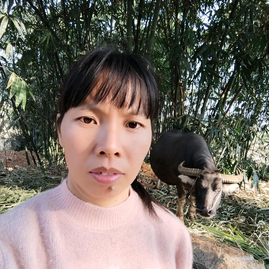 张妹妹  早上8点开播