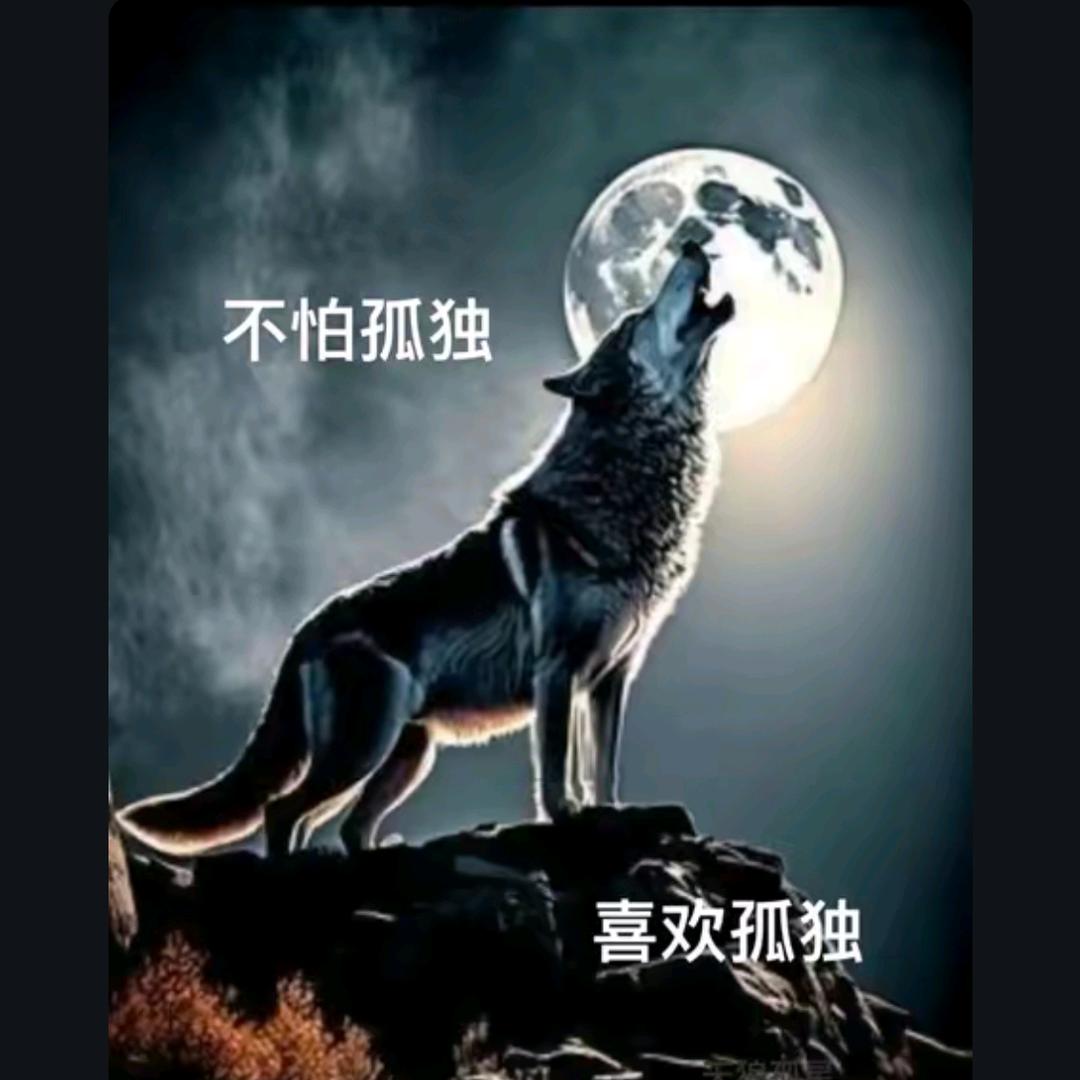 往事随风