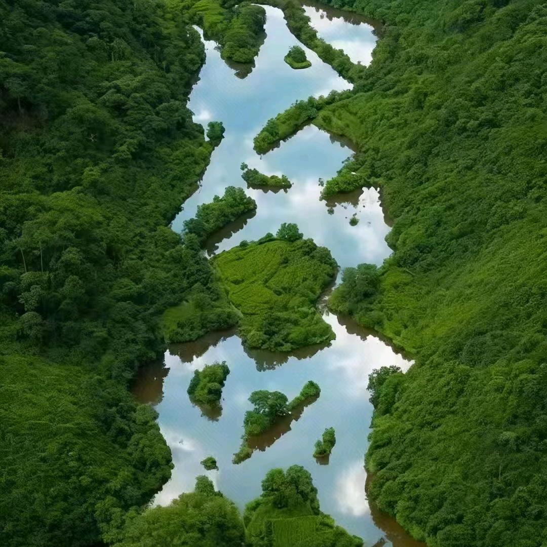 👹 o▬▬l▅▅▅▅▅▅▅▅▅▆▇◤