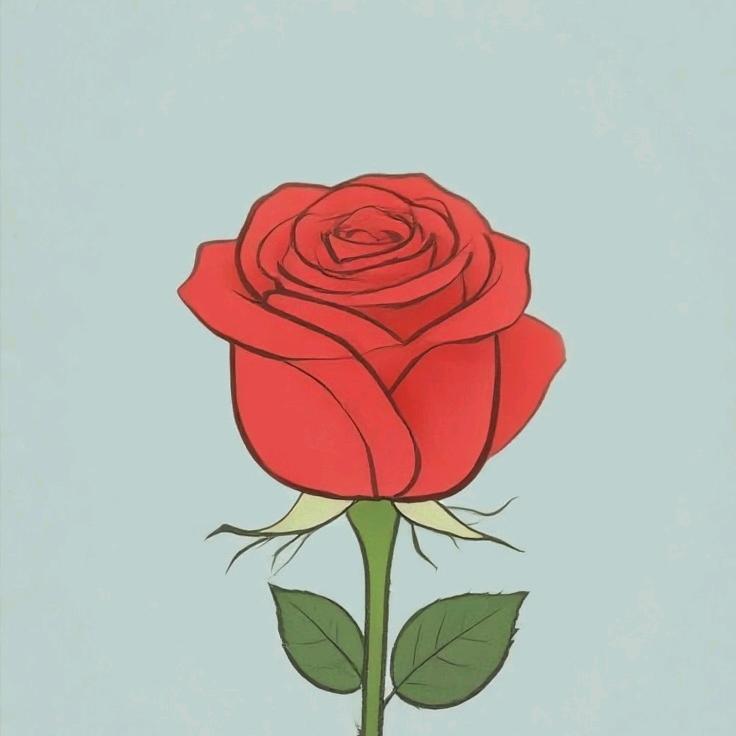 花是带刺的