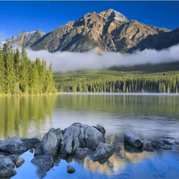 《不晚》buwan  豆豆