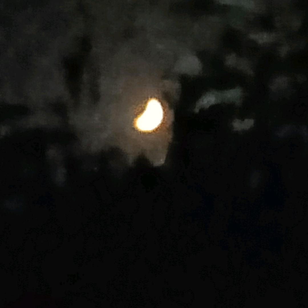 爱读书的黄玉