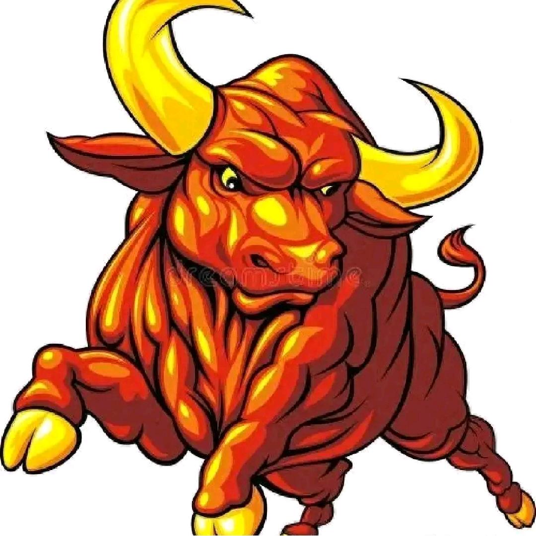 力信反刍兽医马小均