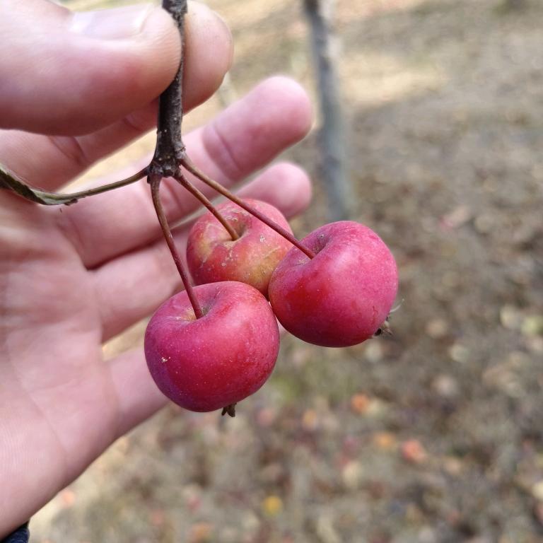 程小程(环氧树脂)模具