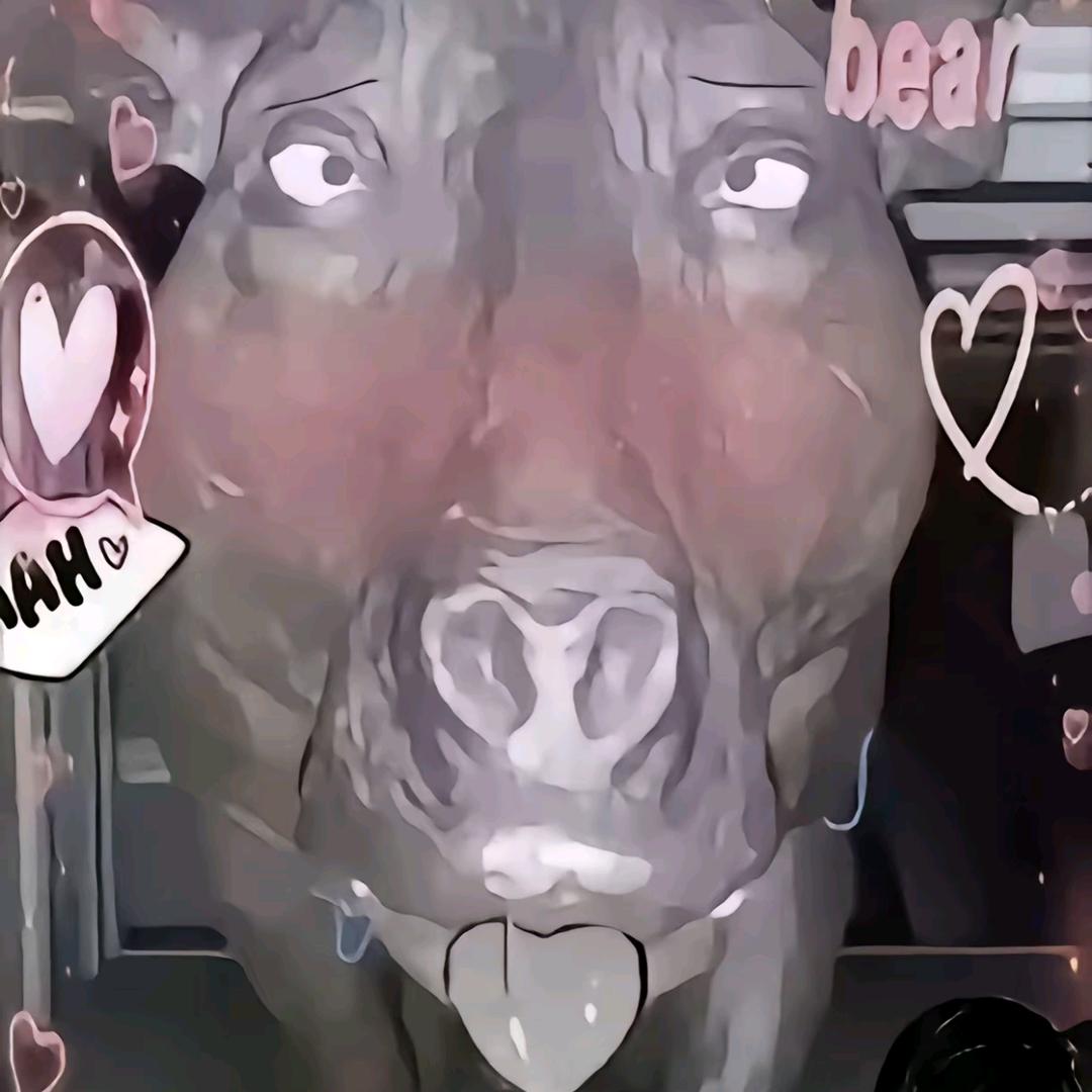 如果手和脚打架，我会为了手赢而打脚