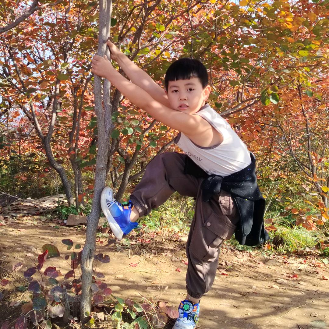 三哥，（彭）家具人