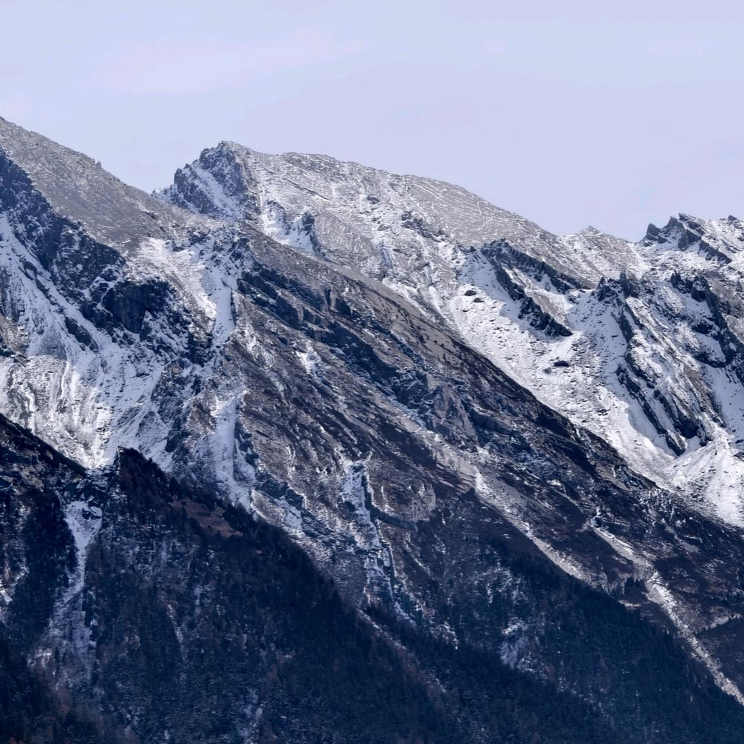 The Real 菠萝吹雪