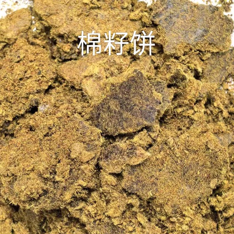 工五粮贸