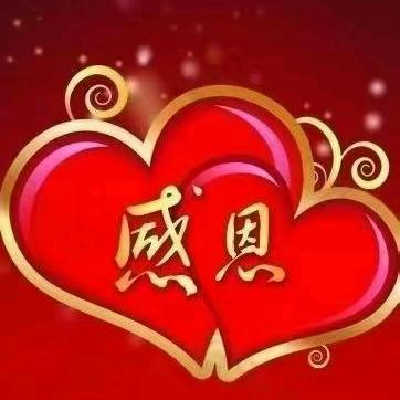 皮净丹