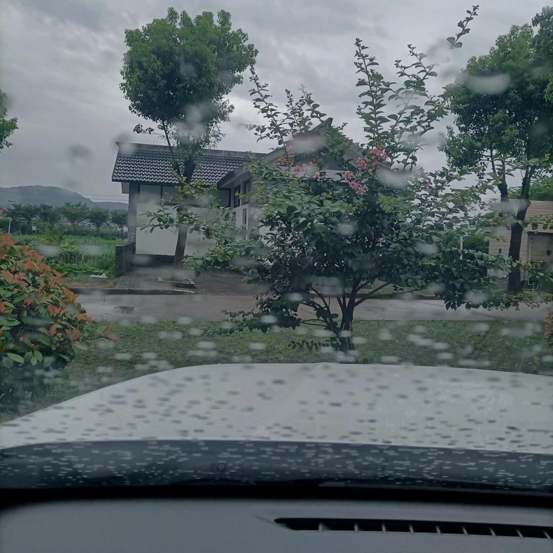 今生无悔