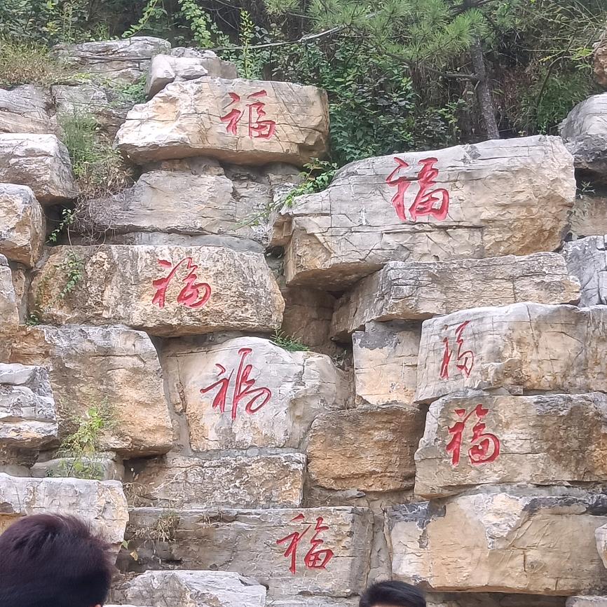 🐎柿柿如意🐎