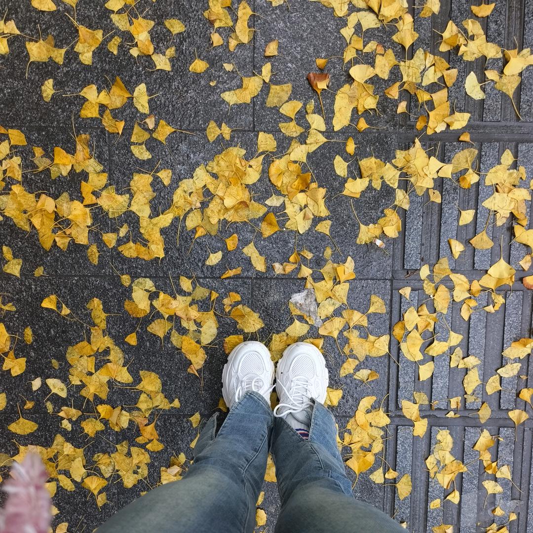 平安✪ω✪歖樂