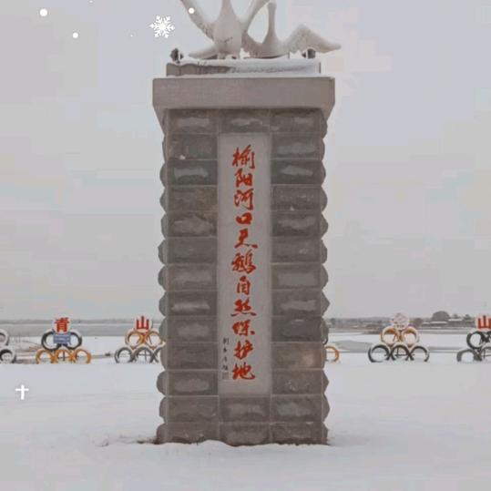 我命由我不由天