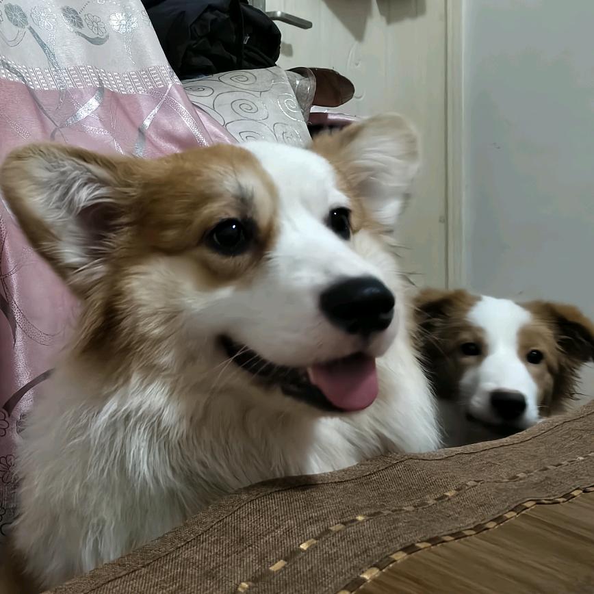 静等东风