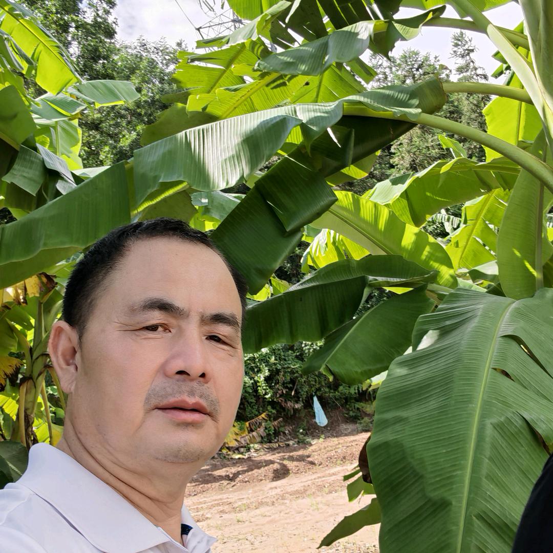 鑫鑫姐传媒