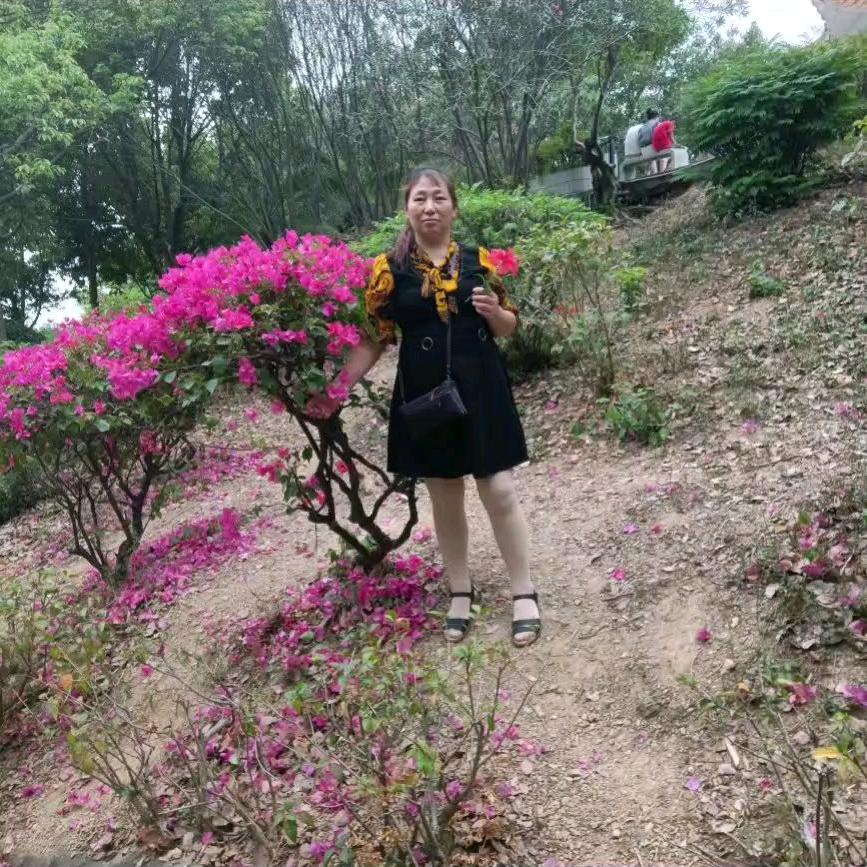 快乐永远