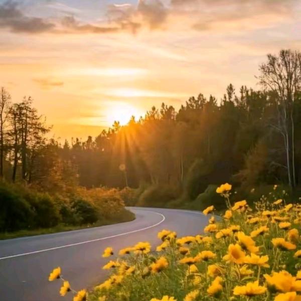 南故笙烟⁵²⁰²