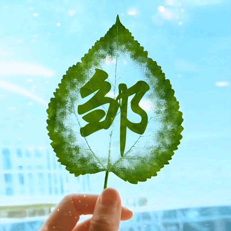 邹百通
