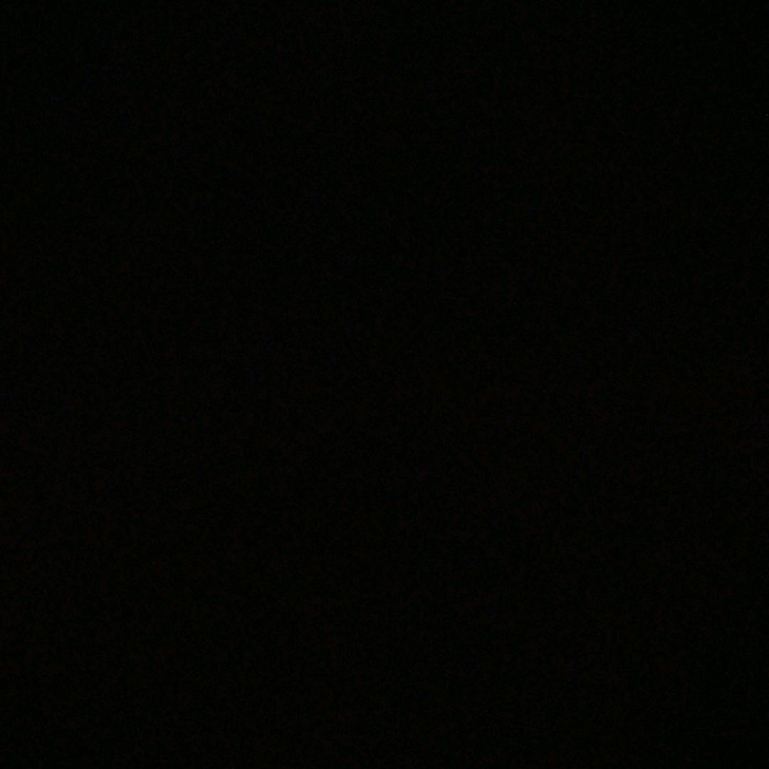 风飞沙
