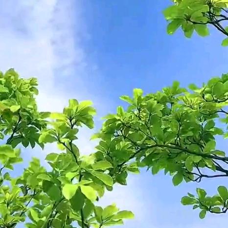 平平淡淡。