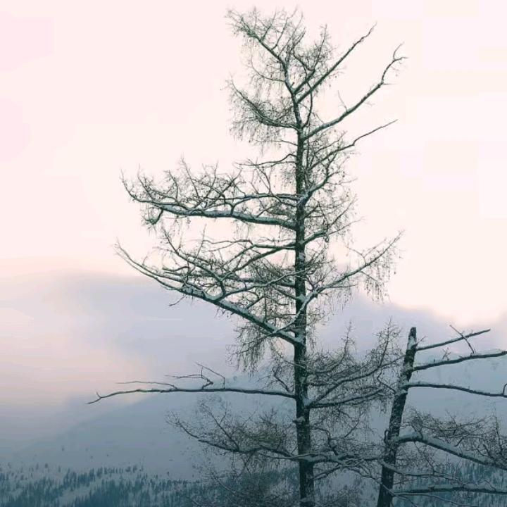 Nice2CU