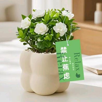 郭来