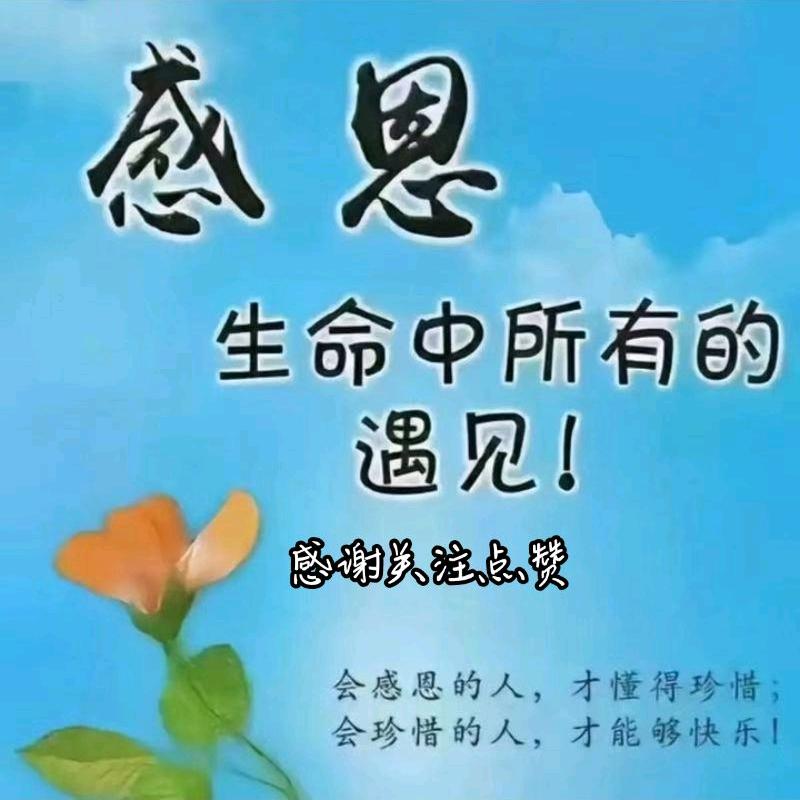 九儿环游世界正能量谢谢红心❤️关注